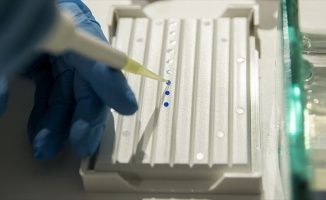 DNA onarımının kritik bileşeni bulundu