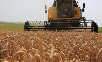 Rusya, tarımda iki hafta içinde çözüm umuyor