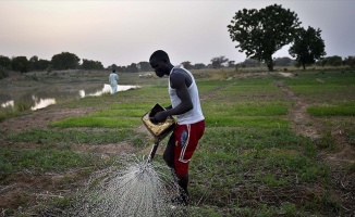 Tarımda Türkiye ile Afrika ülkelerinin iş birliği artacak