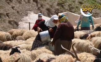 'Berivan'ların zorlu ramazan mesaisi