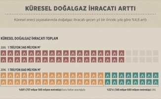 Küresel doğalgaz ihracatı arttı