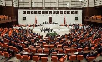 Türkiye ile Katar arasındaki iki anlaşma TBMM'de kabul edildi