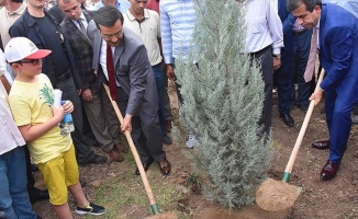 15 Temmuz şehitleri anısına fidan dikildi