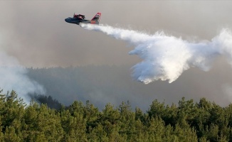 Orman Genel Müdürü Üzmez: Yangının yüzde 70-80'ini çevirdik