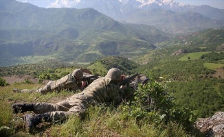 Şırnak'ta 2 terörist etkisiz hale getirildi