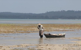 Doğası zengin, halkı yoksul ada: Zanzibar