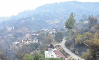 Muğla'daki orman yangını kontrol altına alındı