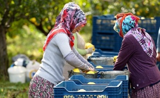 Rusya'ya ihracat yüz güldürüyor