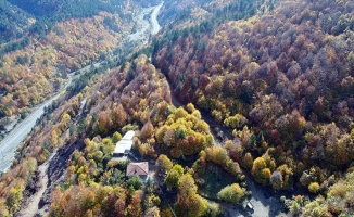 Anadolu'nun 'Yüce Dağı' Ilgaz rengarenk