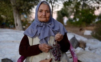 Asırlık çınardan sağlıklı yaşama sırrı