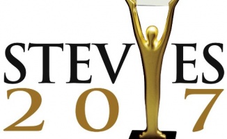 Vestel&#039;e Stevie Ödülleri&#039;nden 2 ödül