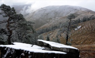 Zigana Dağı'na mevsimin ilk karı yağdı