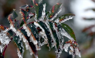 Meteorolojiden buzlanma ve don uyarısı