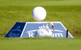 Turkish Airlines Open 2017 golf turnuvası başladı