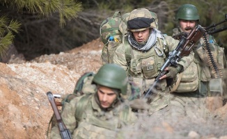 Afrin'de stratejik Burseya Dağı ve üç köy ele geçirildi