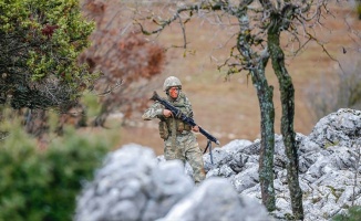 Hatay'da bir terörist etkisiz hale getirildi