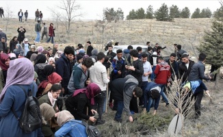 Elazığ'da Afrin şehitleri için fidan dikildi