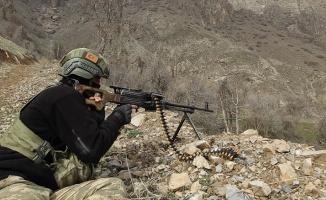 Şırnak'ta 3 terörist etkisiz hale getirildi