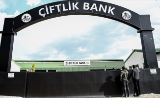 Bulgaristan'ın iade ettiği Çiftlik Bank firarisi adliyede