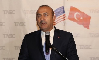 Dışişleri Bakanı Çavuşoğlu'ndan Münbiç açıklaması