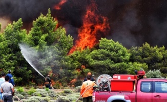 Orman yangını Yunanistan tarihinin en büyük felaketlerinden biri