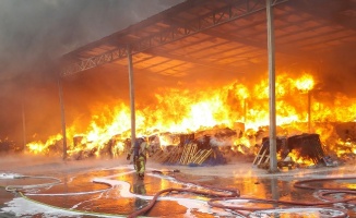 Arnavutköy’de sünger fabrikasında yangın