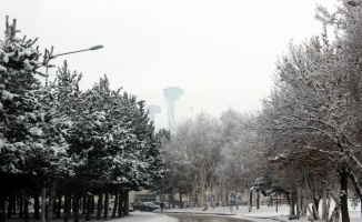 Doğu Anadolu’da kar ve dondurucu soğuk