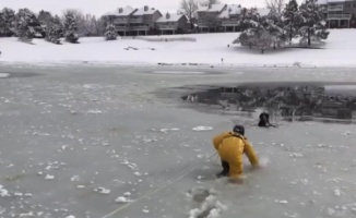 İtfaiyeciler buz tutan göldeki köpeği bata çıka kurtardı