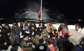 Bodrum’da 46 kaçak göçmen yakalandı