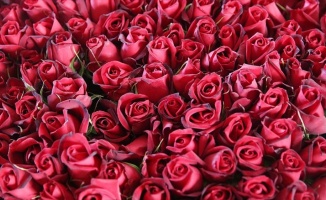 'Sevgililer Günü'nde 2,5 milyar liralık çiçek alıyoruz'