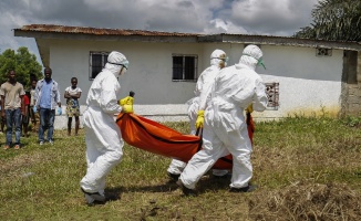 Ebolaya 8 ayda 496 kurban