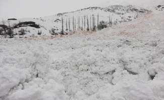 Yüksekova’da mezra yoluna çığ düştü