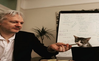 Assange’ın avukatı açıkladı: “Kedi James kurtarıldı ve iyi”