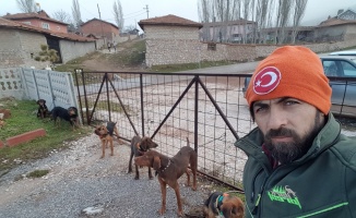 Bir köpek katliam haberi de Kütahya’da