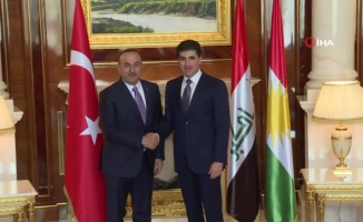 Çavuşoğlu, Barzani ile görüştü