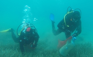 Gölköy’de deniz dibi temizliğine devam