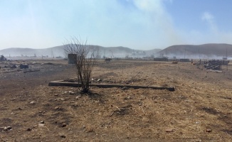 Rusya’daki orman yangını ardında felaket bıraktı