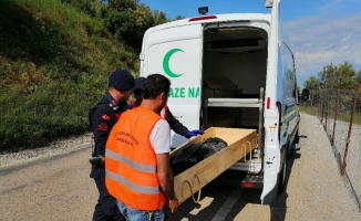 Çanakkale’de sahilde çocuk cesedi bulundu