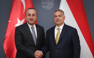 Çavuşoğlu, Macaristan Başbakanı Orban ile görüştü