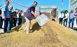 Mardin'de sezonun ilk arpa hasadı yapıldı