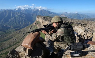 Şırnak'ta iki PKK'lı terörist teslim oldu