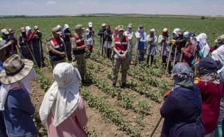 Mevsimlik işçiler jandarmanın takibinde