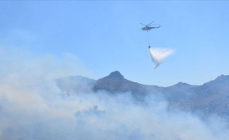 Bodrum&#039;da orman yangını