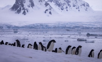 &#039;Sanayileşmenin etkilerinden Antarktika da payını aldı&#039;