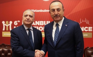 Dışişleri Bakanı Çavuşoğlu mevkidaşı Hekim'le görüştü