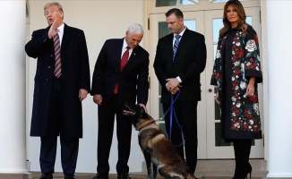 Trump&#039;tan Bağdadi operasyonunda görevli köpeğe plaket ve madalya