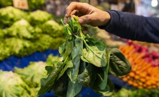 Uzmanlardan yapraklı sebzelerin bilinçli tüketimine ilişkin uyarı