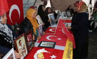 Hatice Ceylan&#039;ın evladına kavuşması Diyarbakır annelerini umutlandırdı