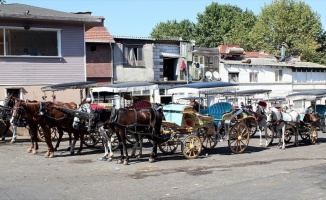 İstanbul Valisi Yerlikaya: Adalar'da faytonlara at koşulması 3 ay süreyle durduruldu