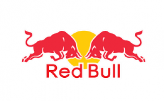 Red Bull son şampiyon kayıtları başladı